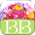 Bouquet Builder